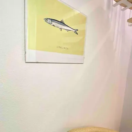 La Casa De Hesperides * 모로델제블